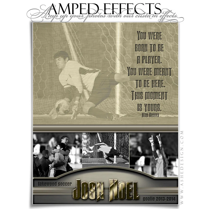 Amped Effects - Silver And Gold - Image 3