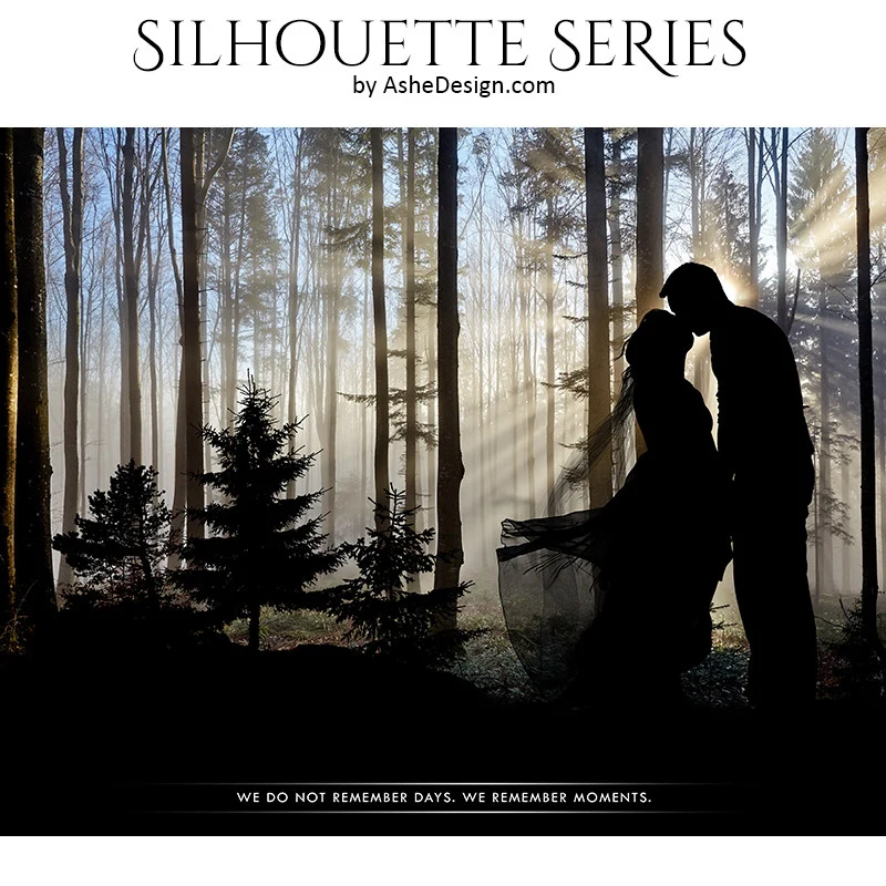 Amped Effects - Sunrise Forest Silhouette