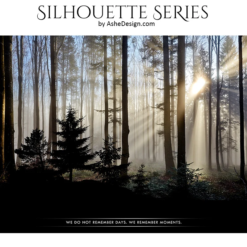 Amped Effects - Sunrise Forest Silhouette - Image 2