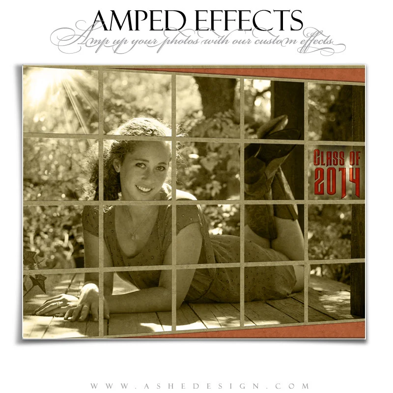 Amped Effects - Through The Window - Image 2