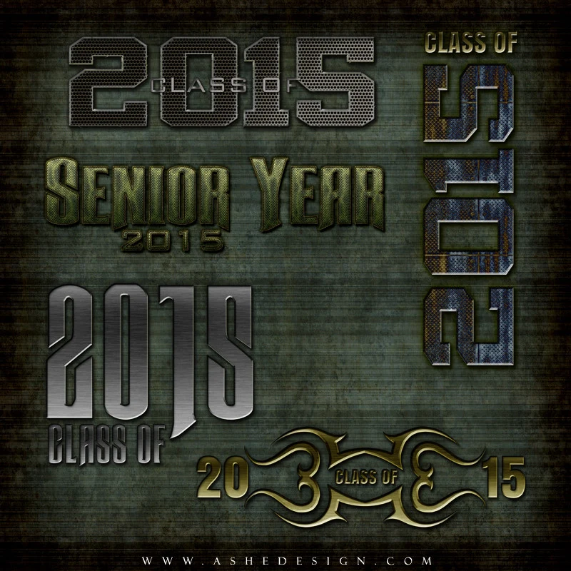 Amped Up Word Art Set - Senior Steel