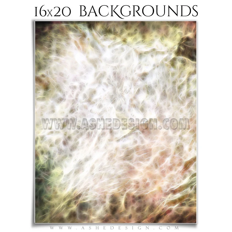 Background Set 16x20 - Soft Grunge - Image 4