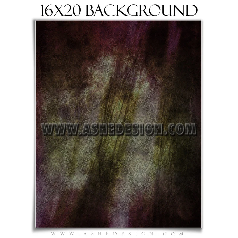Background Set 16x20 - Weathered Damask - Image 2