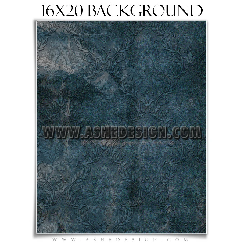 Background Set 16x20 - Weathered Damask - Image 4
