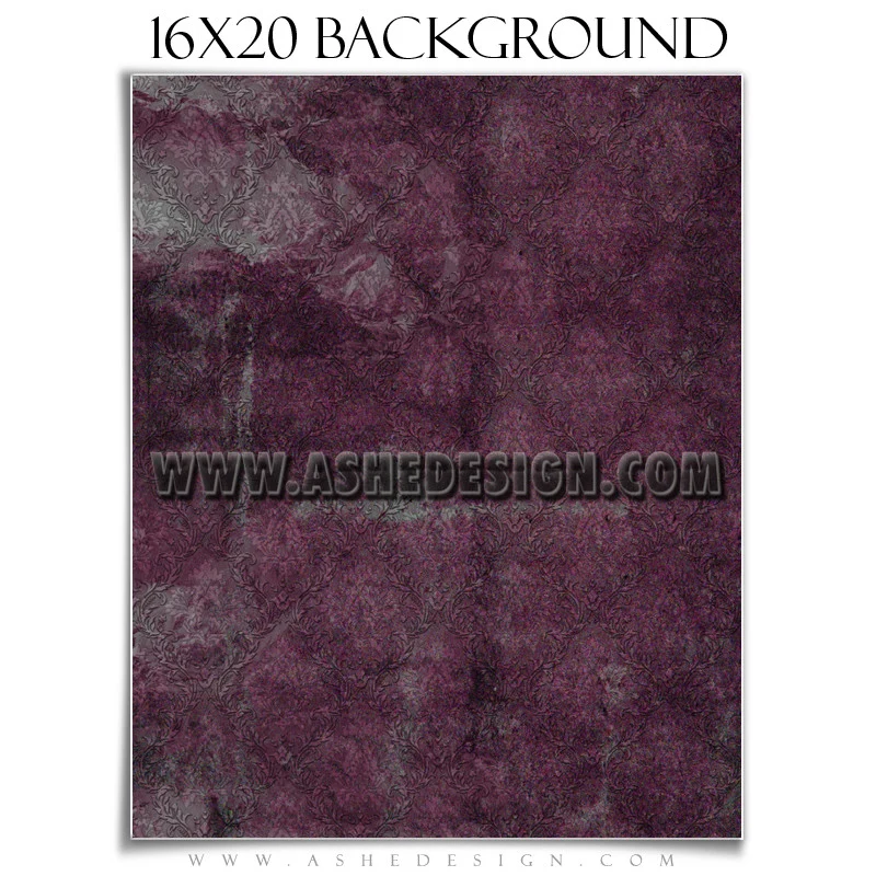 Background Set 16x20 - Weathered Damask - Image 5