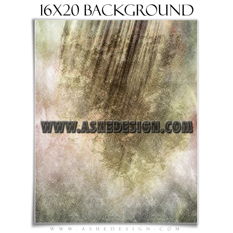 Background Set 16x20 - Weathered Damask - Image 6