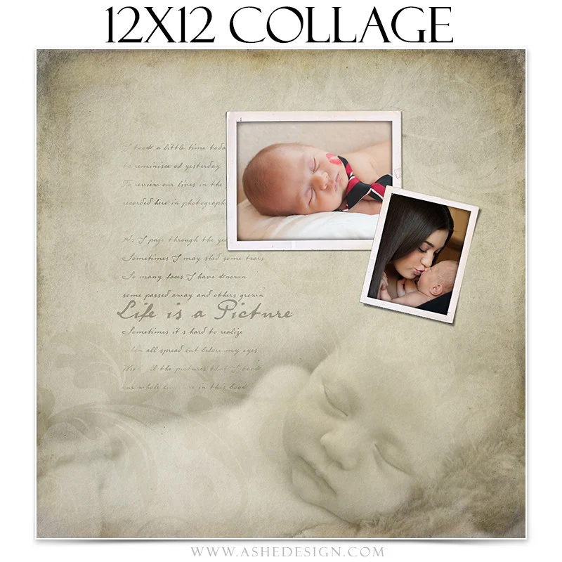 Collage Set (8x8,12x12,10x20) - Life Is A Picture - Image 4
