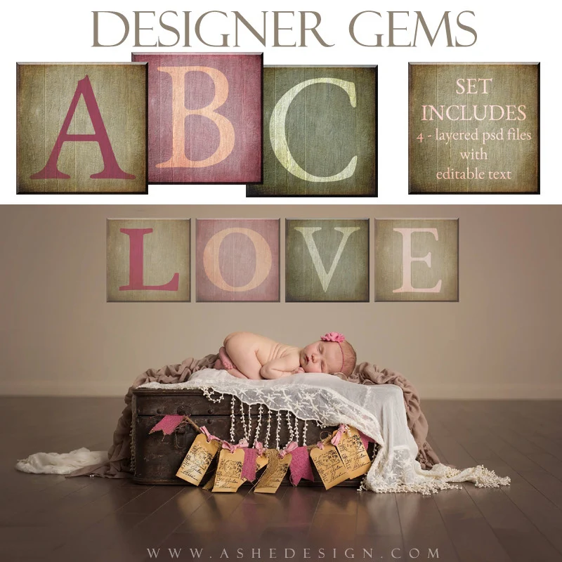 Customizable Designer Gems 12x12 Wooden Alphabet Blocks
