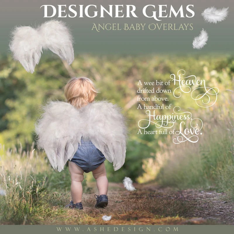Designer Gems - Angel Baby Overlays