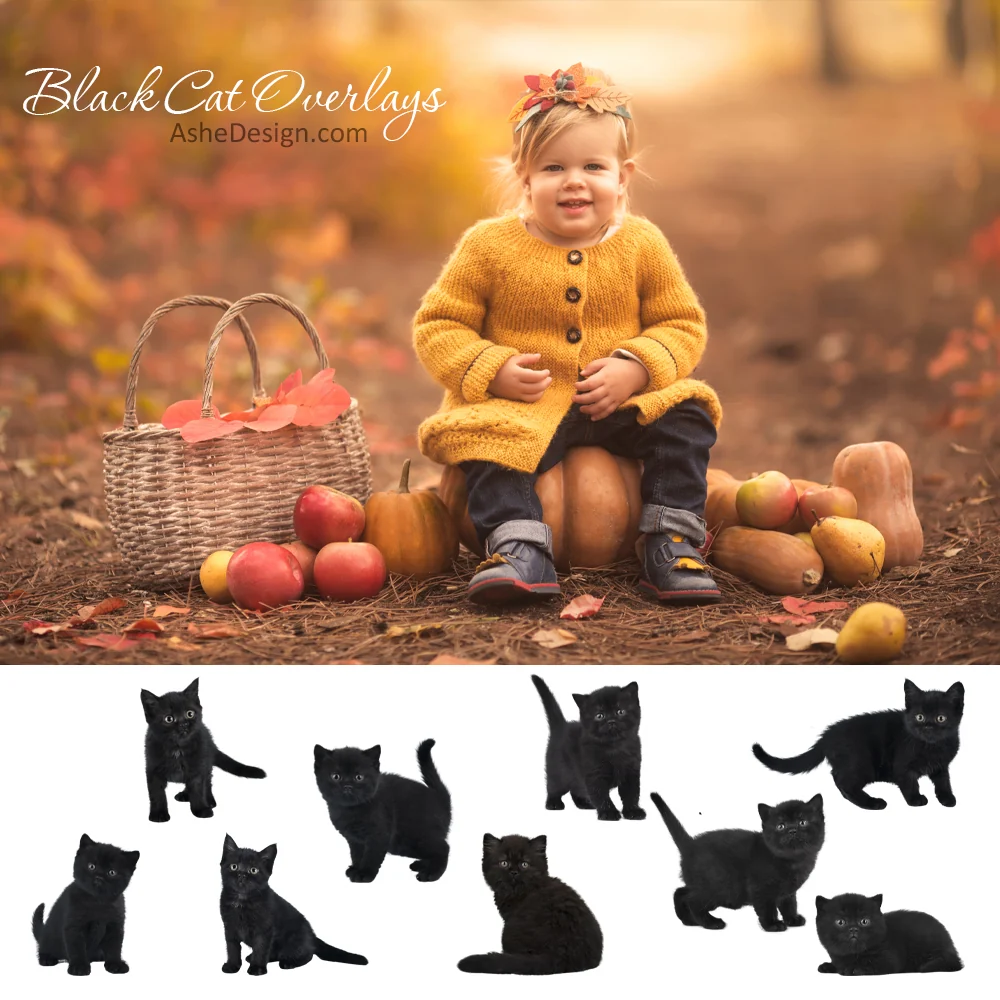 Designer Gems - Black Cat Overlays - Image 2