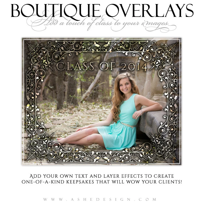 Designer Gems  - Boutique Overlays - Filigree Frames - Image 2