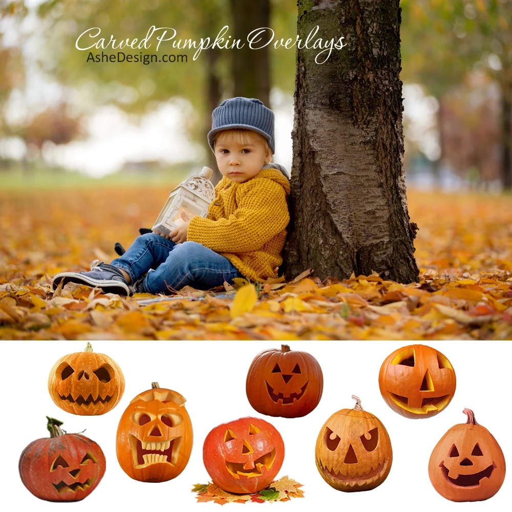 Designer Gems - Carved Pumpkin Overlays - Image 2