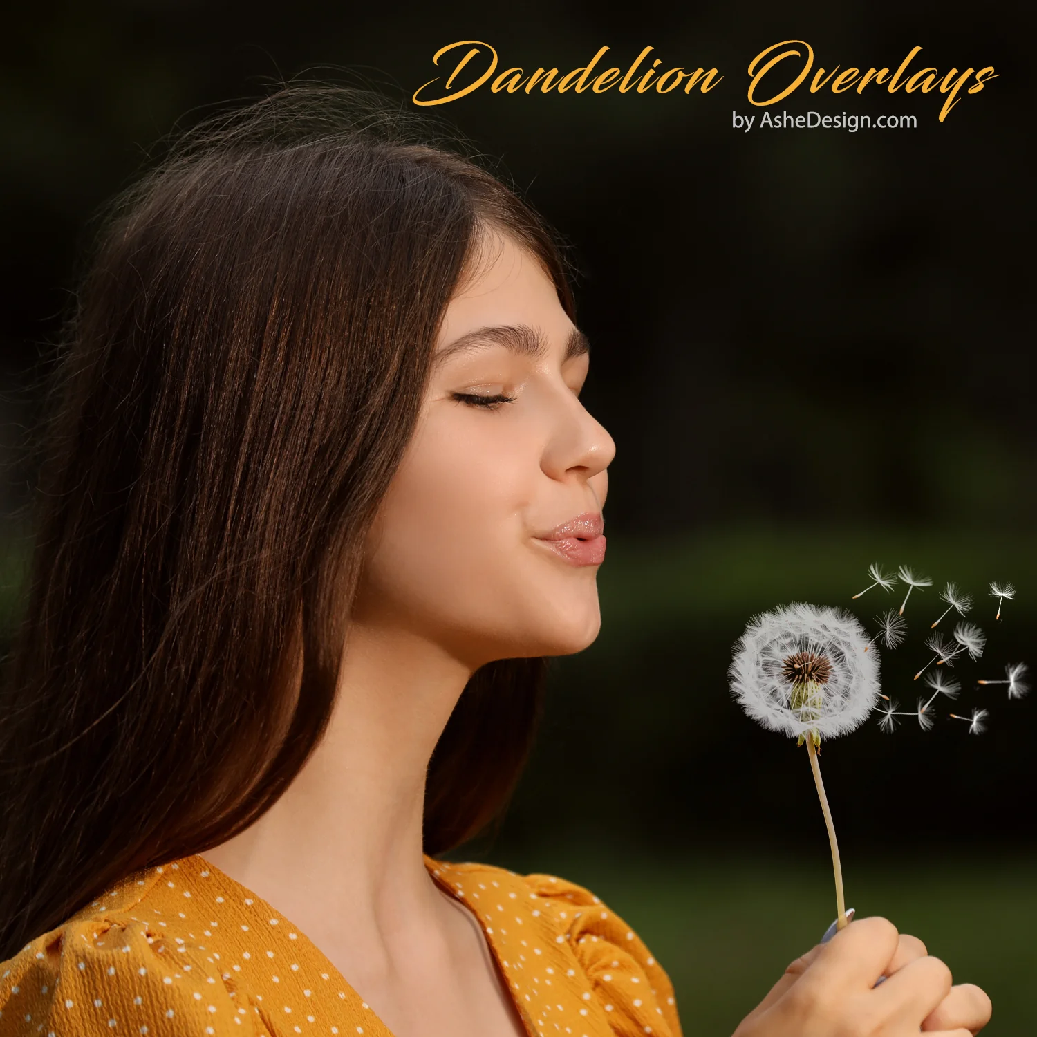 Designer Gems - Dandelion Overlays