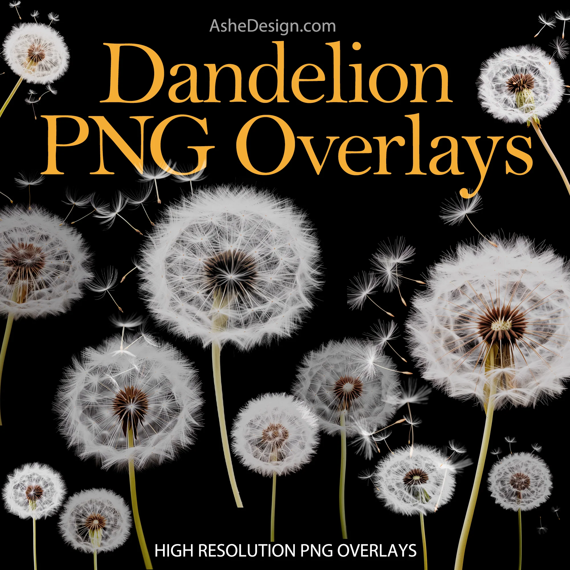 Designer Gems - Dandelion Overlays - Image 2