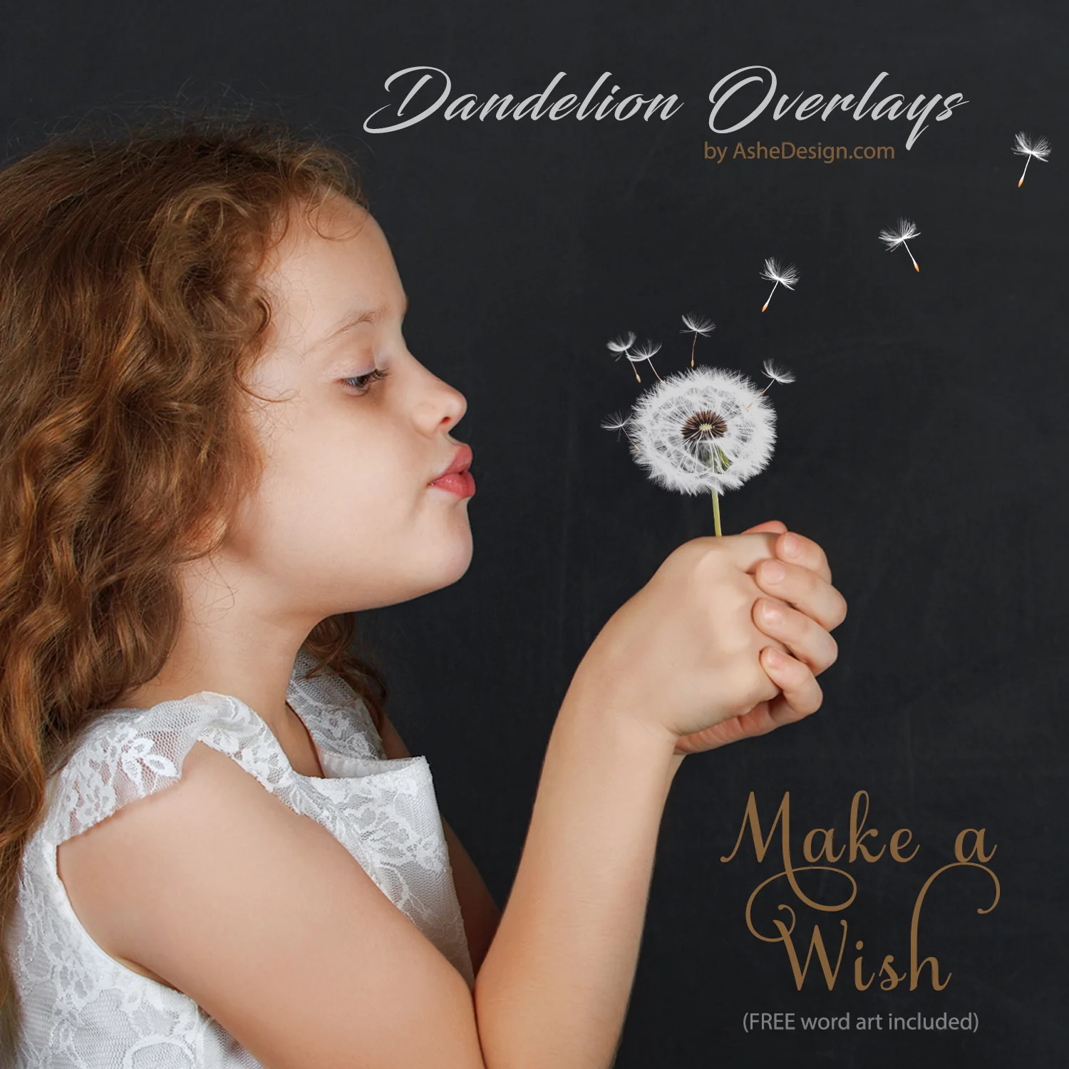 Designer Gems - Dandelion Overlays - Image 3