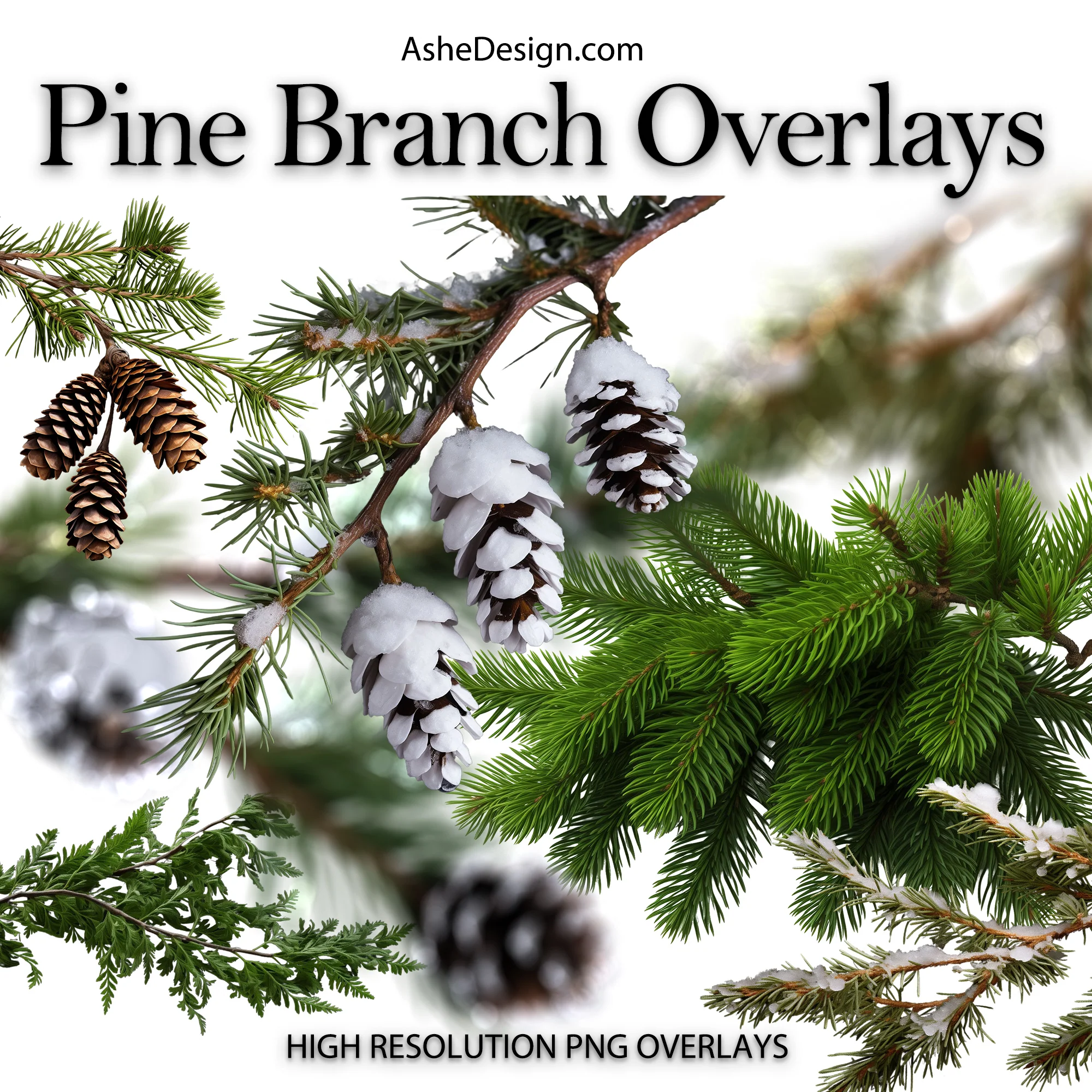 Designer Gems - Pine Branch Overlays - Image 2