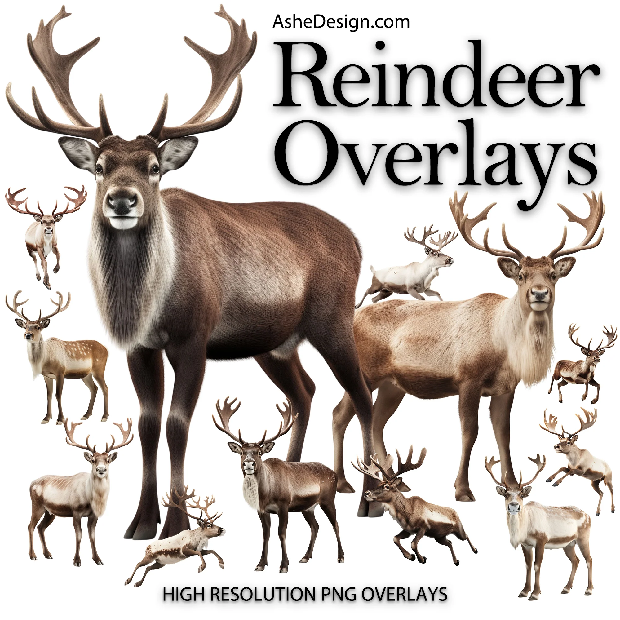 Designer Gems - Reindeer Overlays Set 2 - Image 2