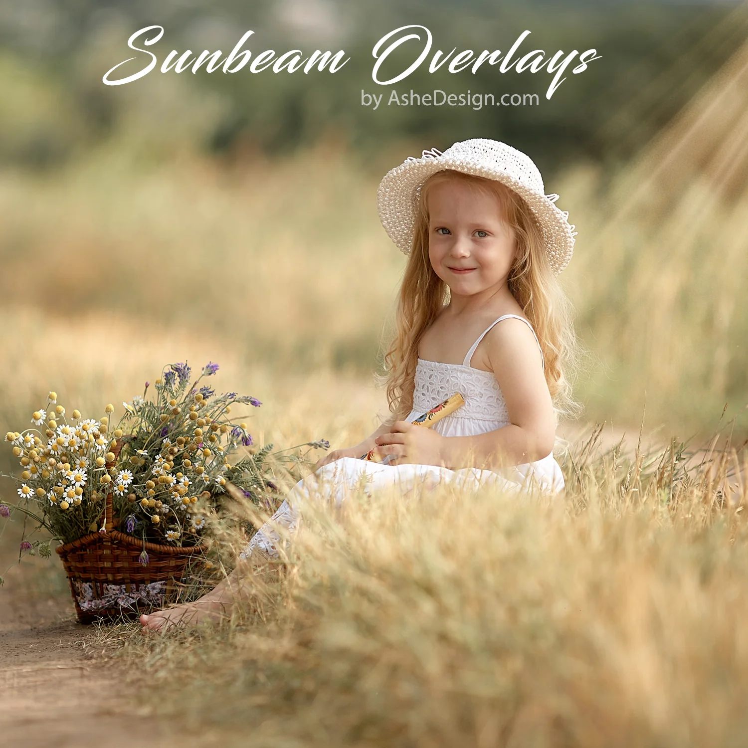Designer Gems -  Sunbeam Overlays - Image 4