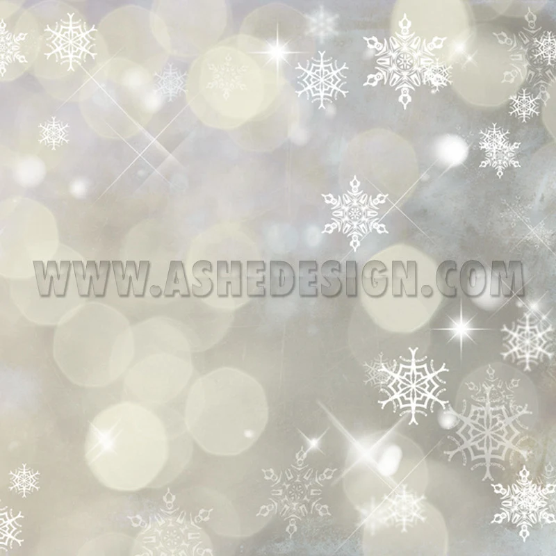Digital Designer Paper Set - Winter Wonderland - Image 5