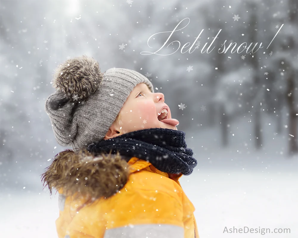 Digital Props 16x20 Backdrop Set - Catching Snowflakes