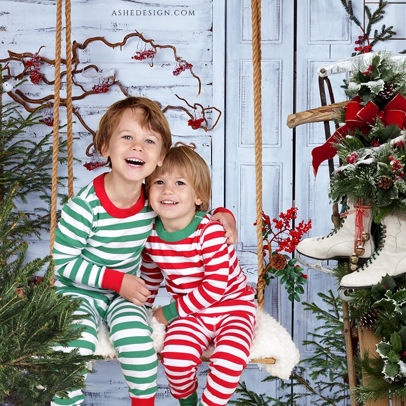 Digital Props 16x20 Backdrop Set - Christmas Swing