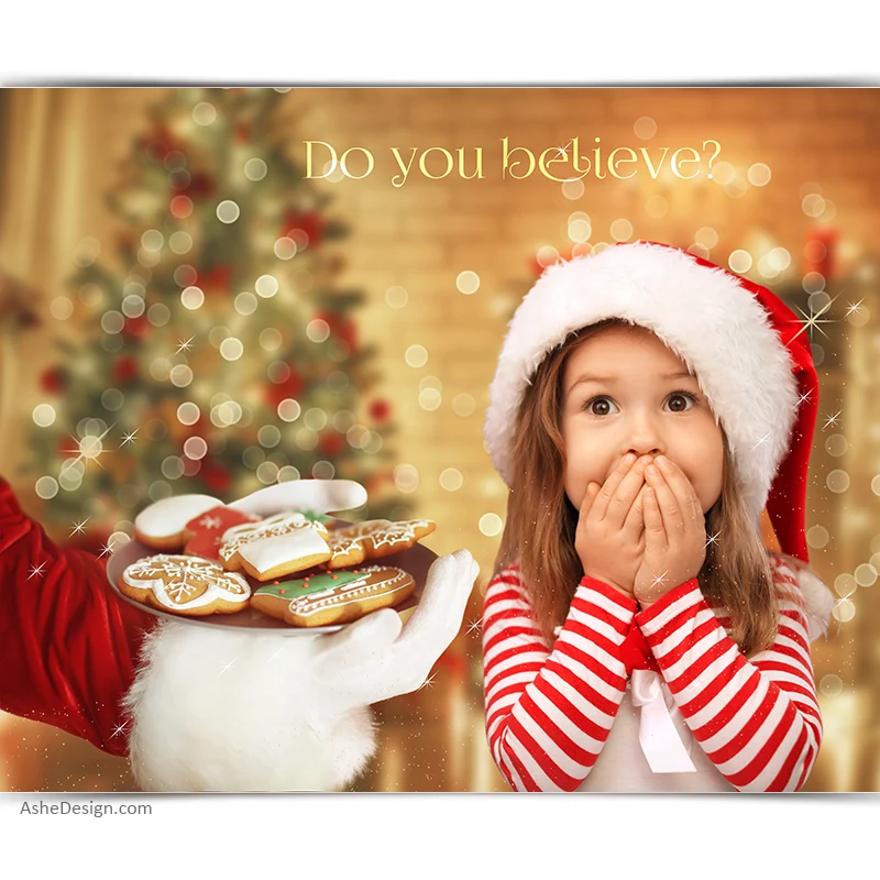 Digital Props 16x20 Backdrop Set - Cookies For Santa
