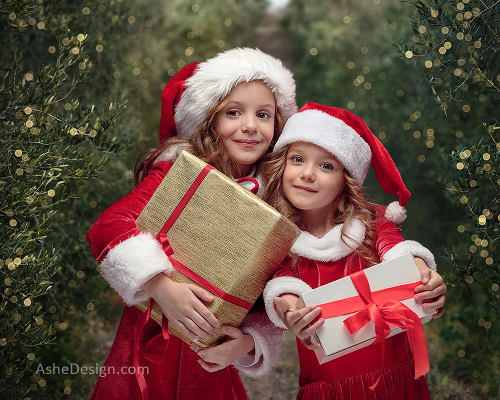 Digital Props 16x20 Backdrop Set - Evergreen Bokeh