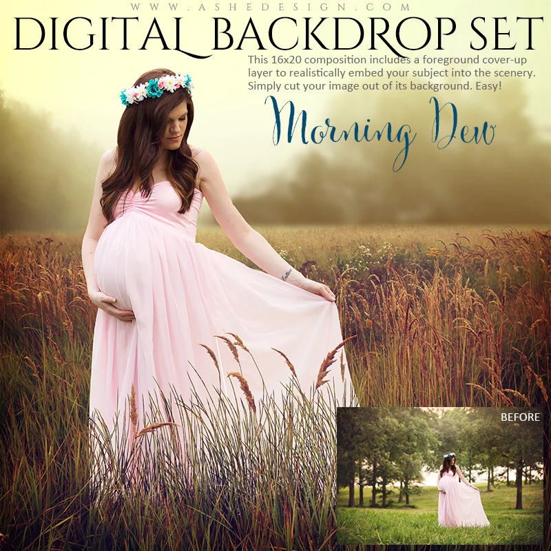 Digital Props 16x20 Backdrop Set - Morning Dew
