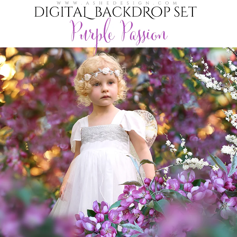 Digital Props 16x20 Backdrop Set - Purple Passion