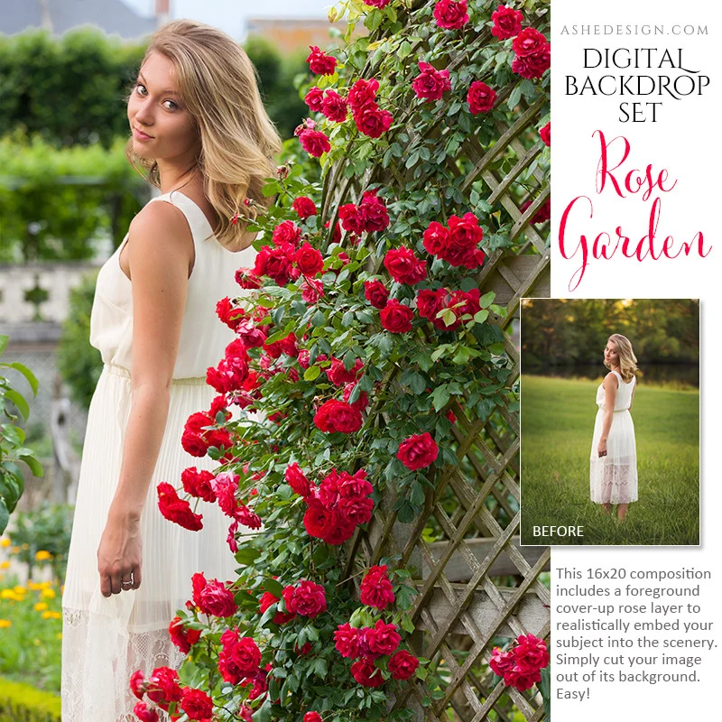 Digital Props 16x20 Backdrop Set - Rose Garden