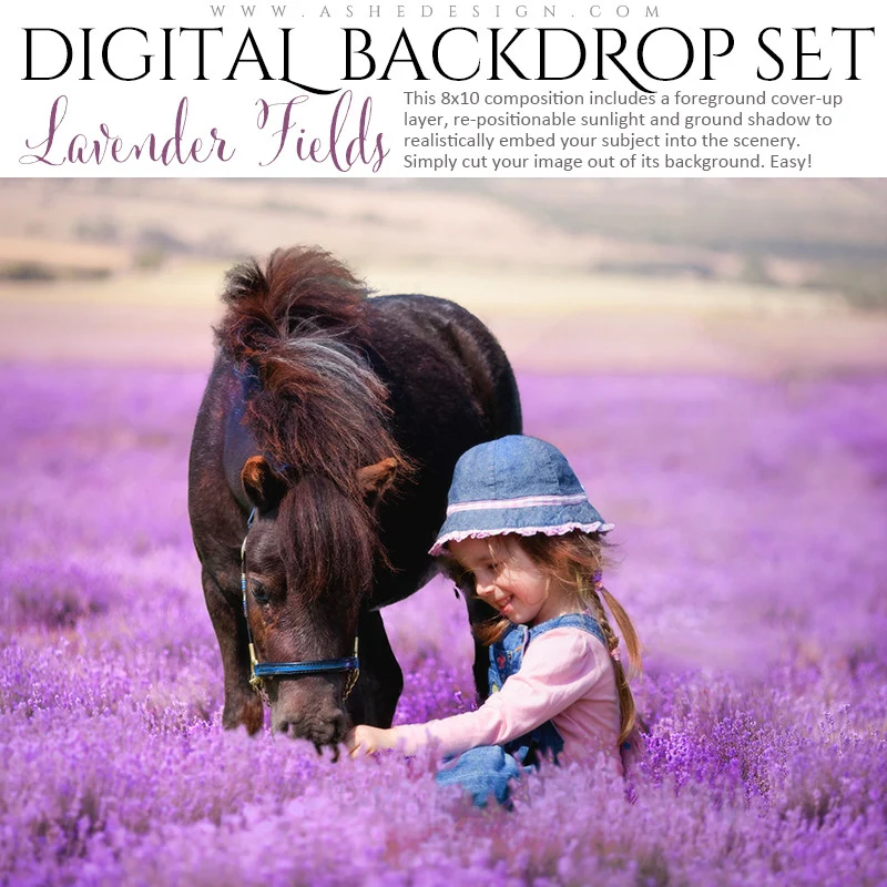Digital Props 8x10 Backdrop Set - Lavender Fields