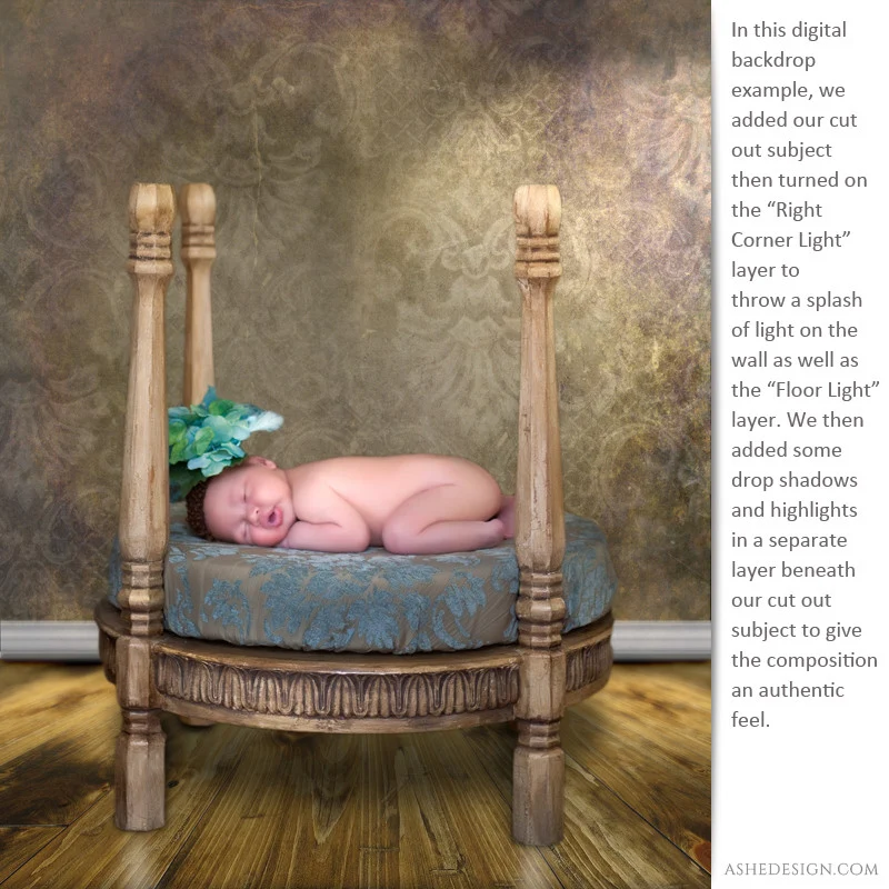 Digital Props - Backdrops - Vienna - Image 4