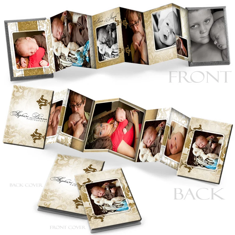 Photo Book Template (2.5x3.5 Wallet Accordion) - Gold Leaf
