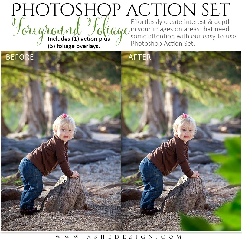 Photoshop Action Overlays - Foreground Foliage - Image 3