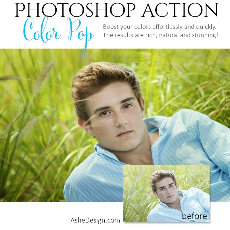 Photoshop Action | Pure Palette - Color Pop