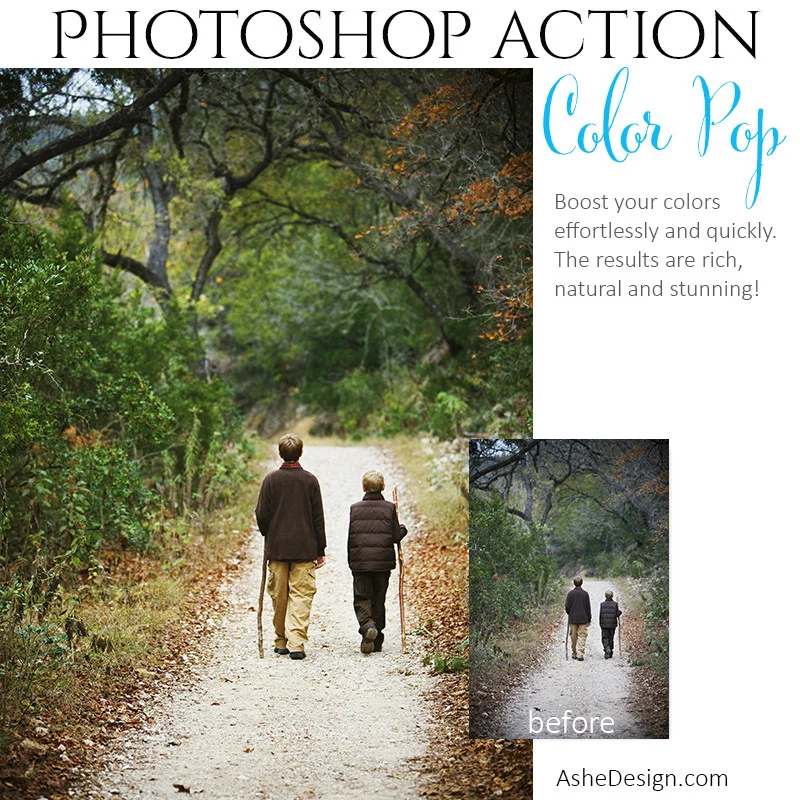 Photoshop Action | Pure Palette - Color Pop - Image 2