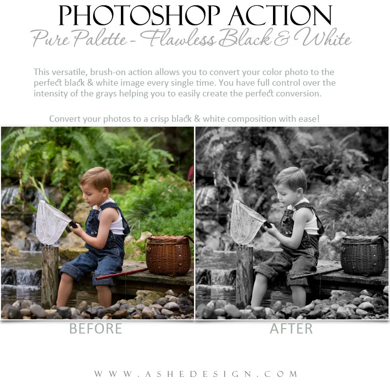 Photoshop Action | Pure Palette - Flawless Black & White - Image 2
