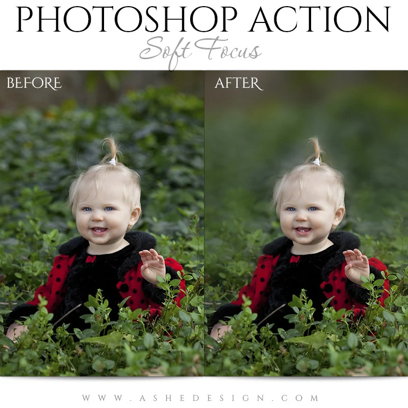 Photoshop Action - Soft Focus - Image 3