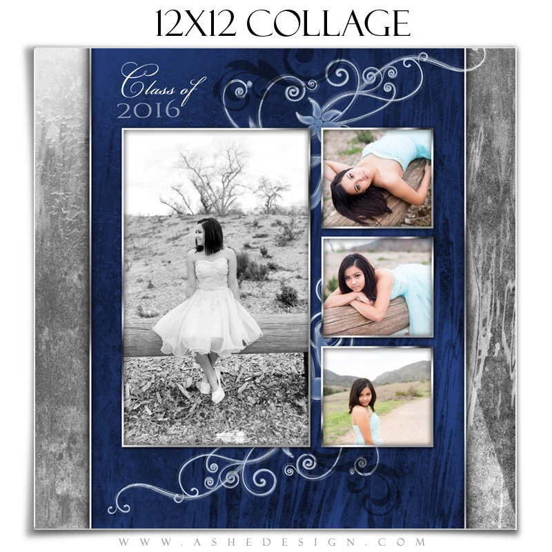 Senior Girl Collage Set (5x7, 8x10,12x12) - Blue Steel - Image 4