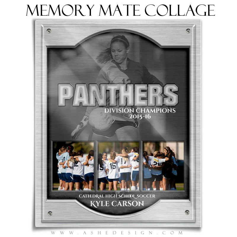 Sports Memory Mates 8x10 - On Display Triptych