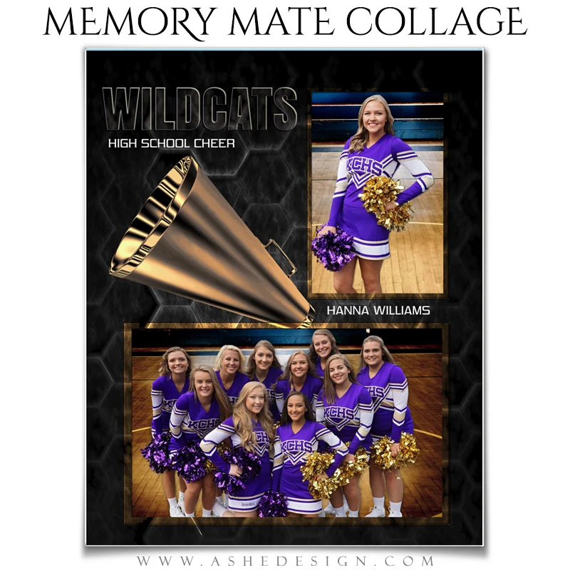 Sports Memory Mates - Honeycomb Cheer