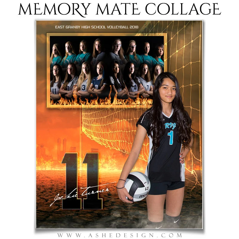 Sports Memory Mates - Inferno Volleyball