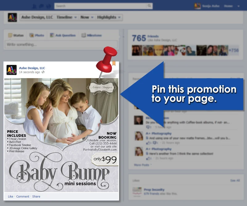 Timeline Promotional Pin - Baby Bump Mini Sessions - Image 2