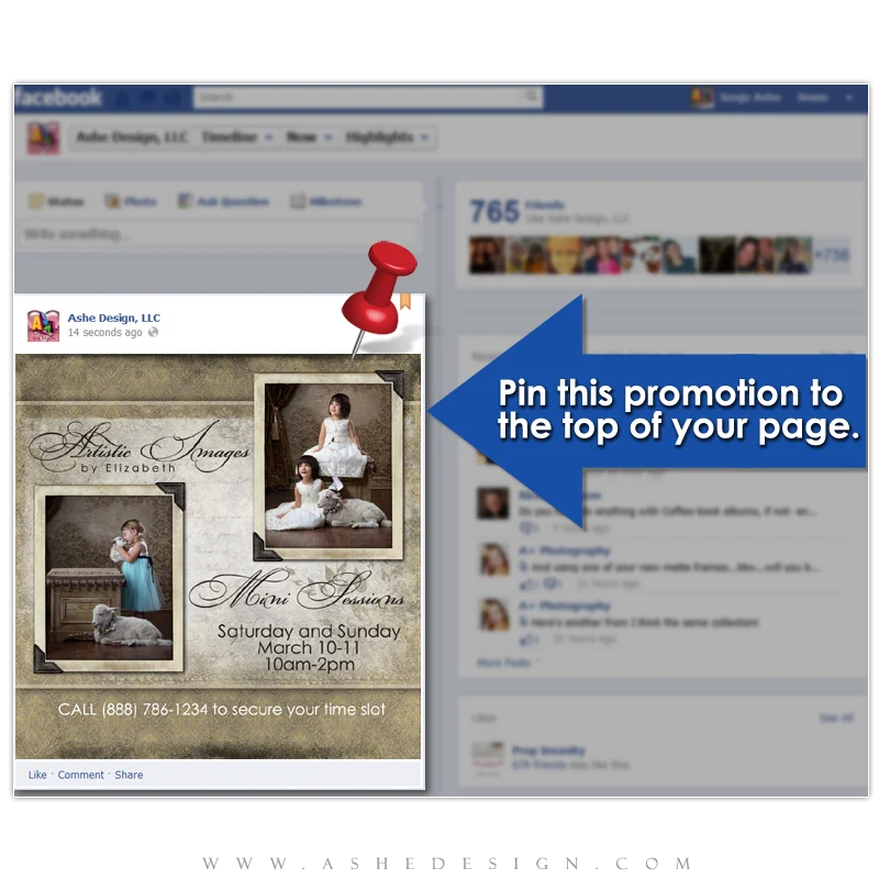 Timeline Promotional Pin Design - Aged Damask