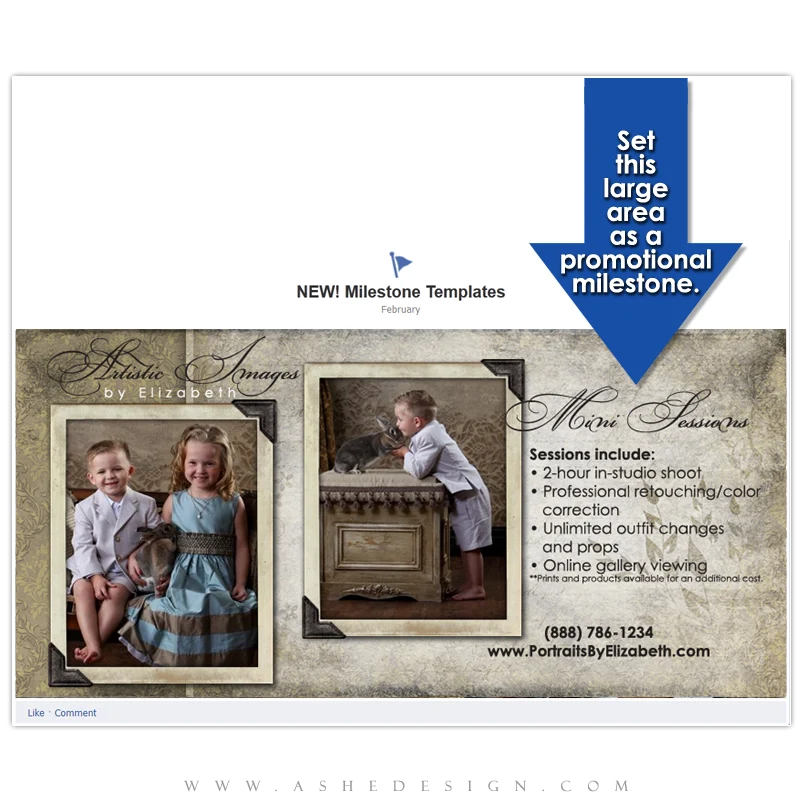 Timeline Promotional Pin Design - Aged Damask - Image 2