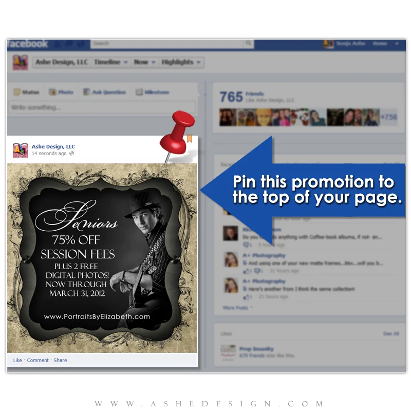 Timeline Promotional Pin Design - Timeless Beauty