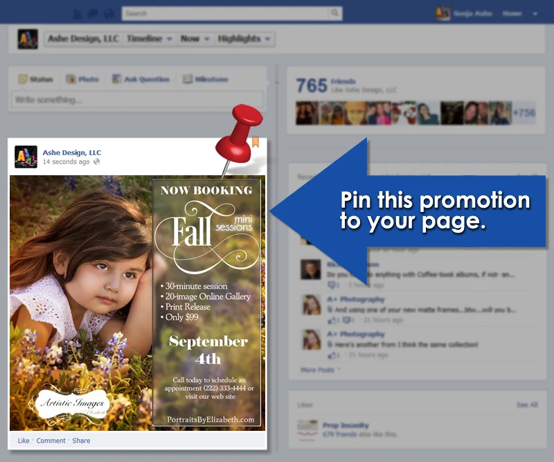 Timeline Promotional Pin - Fall Sessions - Image 2