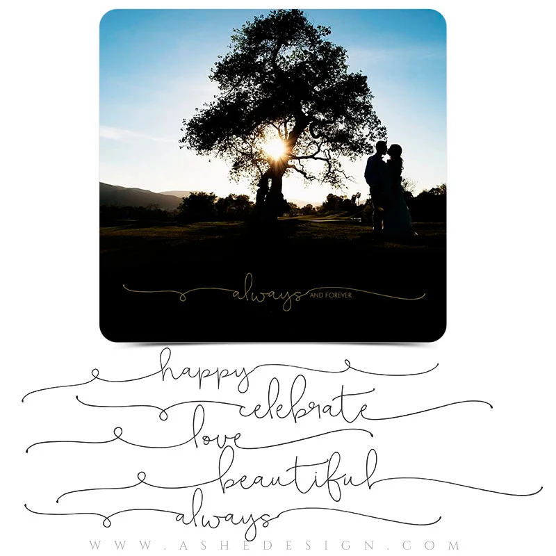 Word Art Collection - Dainty Doodles