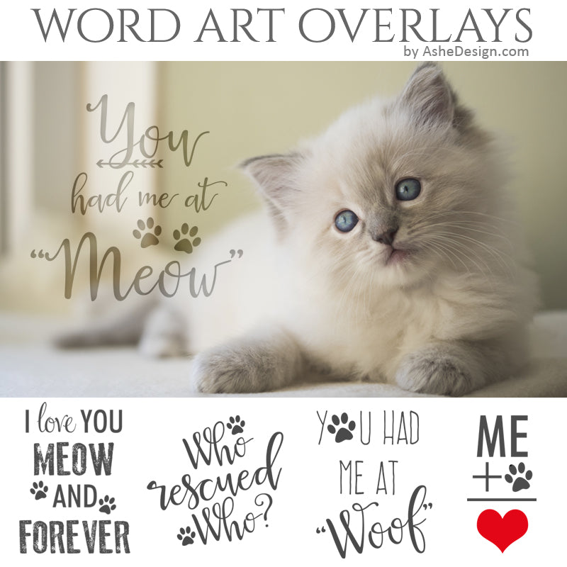Word Art Overlays - Furbabies